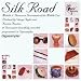 Sonic Implants Silk Road Middle Eastern Instruments Gigasampler