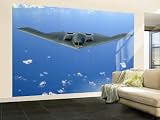B-2 Spirit , 96x144