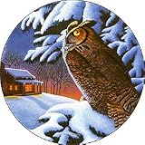 Silent Witness Spare Tire Cover