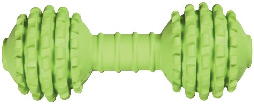 JW Pet Company Chompion Heavyweight Dog Toy (Colors Vary)