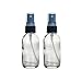 Perfume Studio 2oz Clear Glass Spray Bottles - Set of 2 Bottles & a Pure Perfume Oil Sample (BLACK SRAYER)