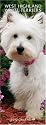 West Highland White Terriers 2010 Slim