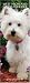 West Highland White Terriers 2010 Slimline