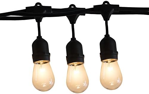 Dealighting Heavy Duty Outdoor String Lights 48 Feet Long with Hanging Loops, 15 E26 Dropped Sockets, 20 Pieces S14 11 Watt Bulbs Included