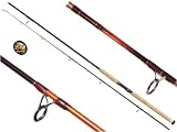 Spinnrute Yad Kansas L=2,40m Wg. 50-180g