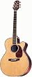 Takamine TNV460SC Grand Auditorium Acoustic-Electric Guitar w/ Case