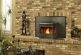 Napoleon Pellet Insert Heater