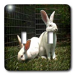 Rabbits - White New Zealand Rabbit - Light Switch Covers - double toggle switch