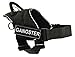DT Fun Harness, Gangster, Black with Reflective Trim, Large - Fits Girth Size: 32-Inch to 42-Inch