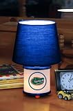 NCAA Florida Gators Dual Lit Accent Lamp