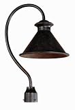World Imports Dark Sky 1-Light Dark Sky Outdoor Lamp - Bronze