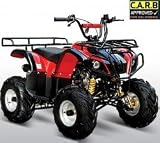 110cc ATA-110D ATV Youth