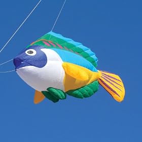 8 ft. Kite Line Laundry Peacock Wrasse Fish
