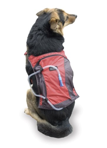 RED CLAY - Outward Hound H2O Hydration Pack
