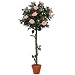 f-DECO ���[�Y�s���N 120cm