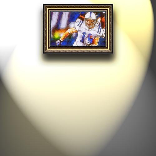 Completely Handpainted American Football Sport Painting, Custom Order FL9237, Oil on Canvas, with Option to Paint Jerry, Brett & Co. from Any Other Favorite Photograph or Picture, Unframed, Size 16'' x 25