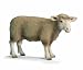 Schleich Ram