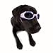 DogglesILS Medium Lilac Flower Frame with Purple Lens Dog Goggles
