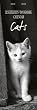 Cats, Lesezeichen / Bookmark Calendar 2009