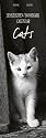 Lesezeichen und Kalender Cats 2009