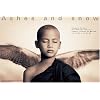 Winged monk: Mexico City exhibition (standard poster) (Ashes and Snow Posters)