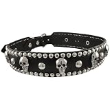 28 Inch Black Leather Skull Studded Dog Collar Large