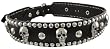 19 Inch Black Leather Skull Studded Dog Collar Small