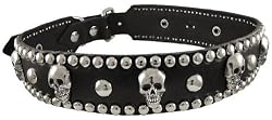 19 Inch Black Leather Skull Studded Dog Collar Small