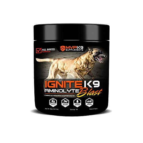 Ignite K9 Electrolytes 45 Servings