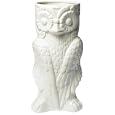 Amazon.com: owl umbrella...