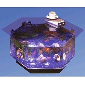 Midwest Tropical Aqua Octagon Coffee Table Aquarium 40 Gallon 38