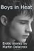 Boys in Heat: Erotic stories by Martin Delacroix