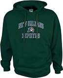 New Orleans Zephyrs Perennial Hooded Sweatshirt