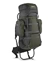 JanSport Carson Backpack (Pinebox Green)