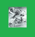 Frogs - Vintage Crochet Pattern [Annotated]