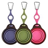 Collapsible Pet Travel Cup with Bottle Holder - Frontgate