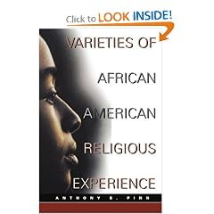 Varieties of African American Religious Experience (New Vectors in the Study of Religion and Theology)