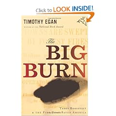 The Big Burn: Teddy Roosevelt and the Fire that Saved America