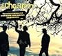 Echobrain