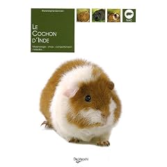 Le cochon d'Inde