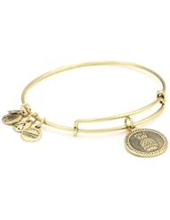 Alex and Ani "Bangle Bar" Welcoming Pineapple Expandable Wire Bracelet
