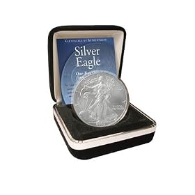 2009 Silver Eagle