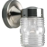 Progress Lighting Outdoor Wall Lantern P5602-09 Brushed Nickel