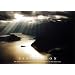Perfection - Maxi Poster - 61 cm x 91.5 cm
