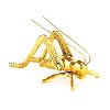 Achla Designs Polished Hearth Cricket