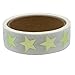 Hybsk 1 inch Gold Star Stickers Metallic Foil School Kids Reward Total 500 Labels Per Roll (Gold)