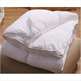 White Microfiber Comforter Size: Twin