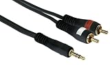 DURAGADGET Pure HQ OFC 3.5mm Stereo Jack to 2 RCA Phono Plugs Cable Gold 2m for iPod 3rd Gen 10GB 20GB
