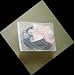 Mesh Lingerie Delicates Wash Bag - Household Essentials #121