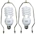 3-way Energy Saving Compact Fluorescent CFL Light Bulb with Upgrade Harp - Pack of 2